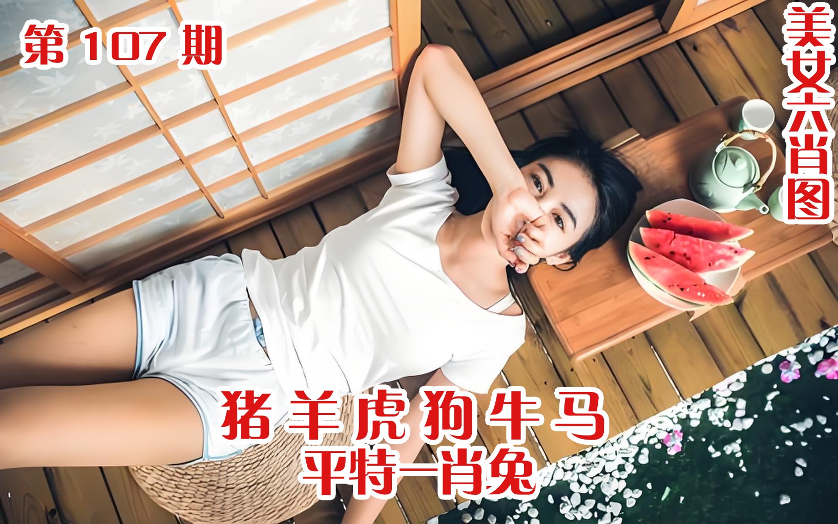 美女六肖 107期