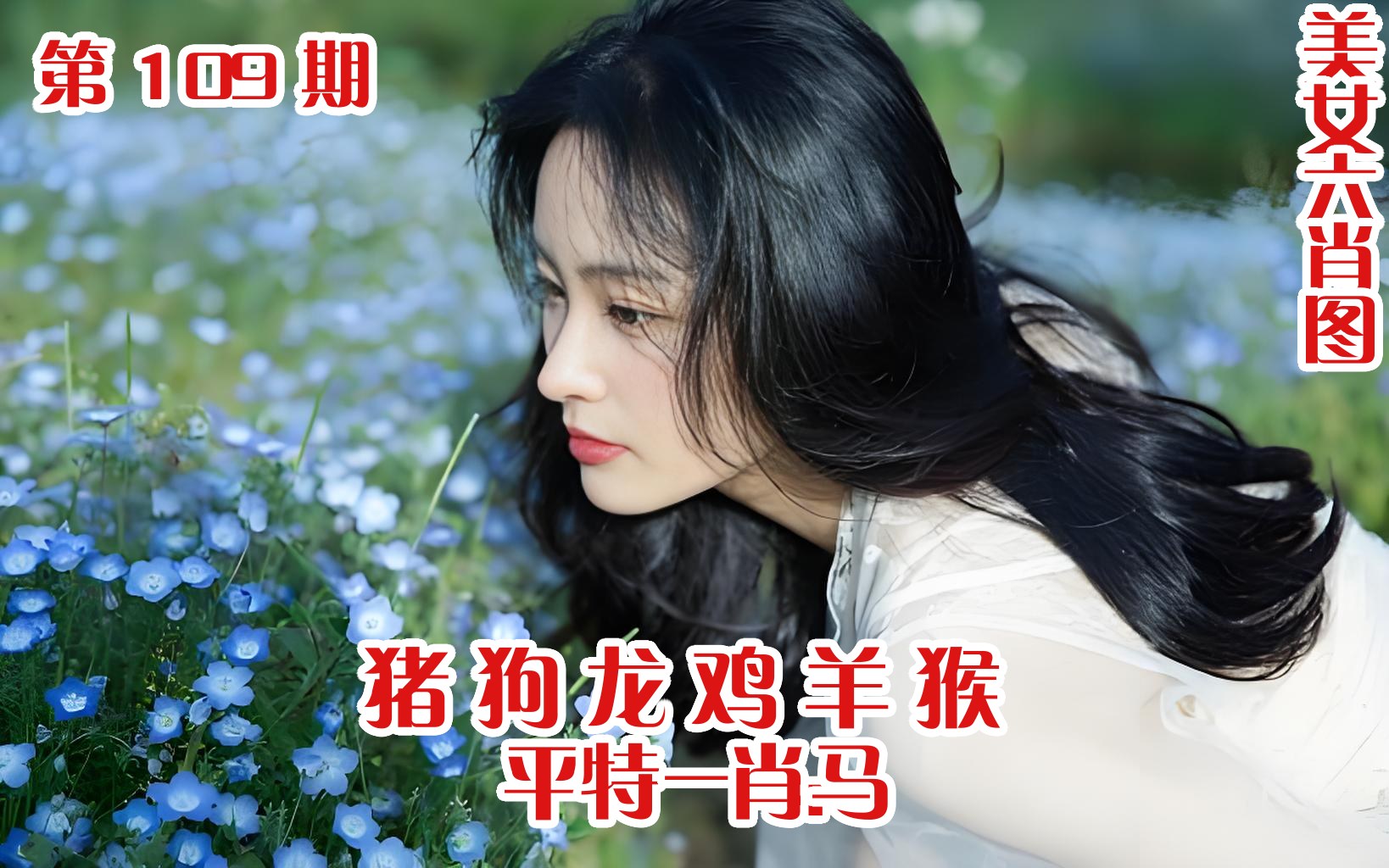 美女六肖 109期