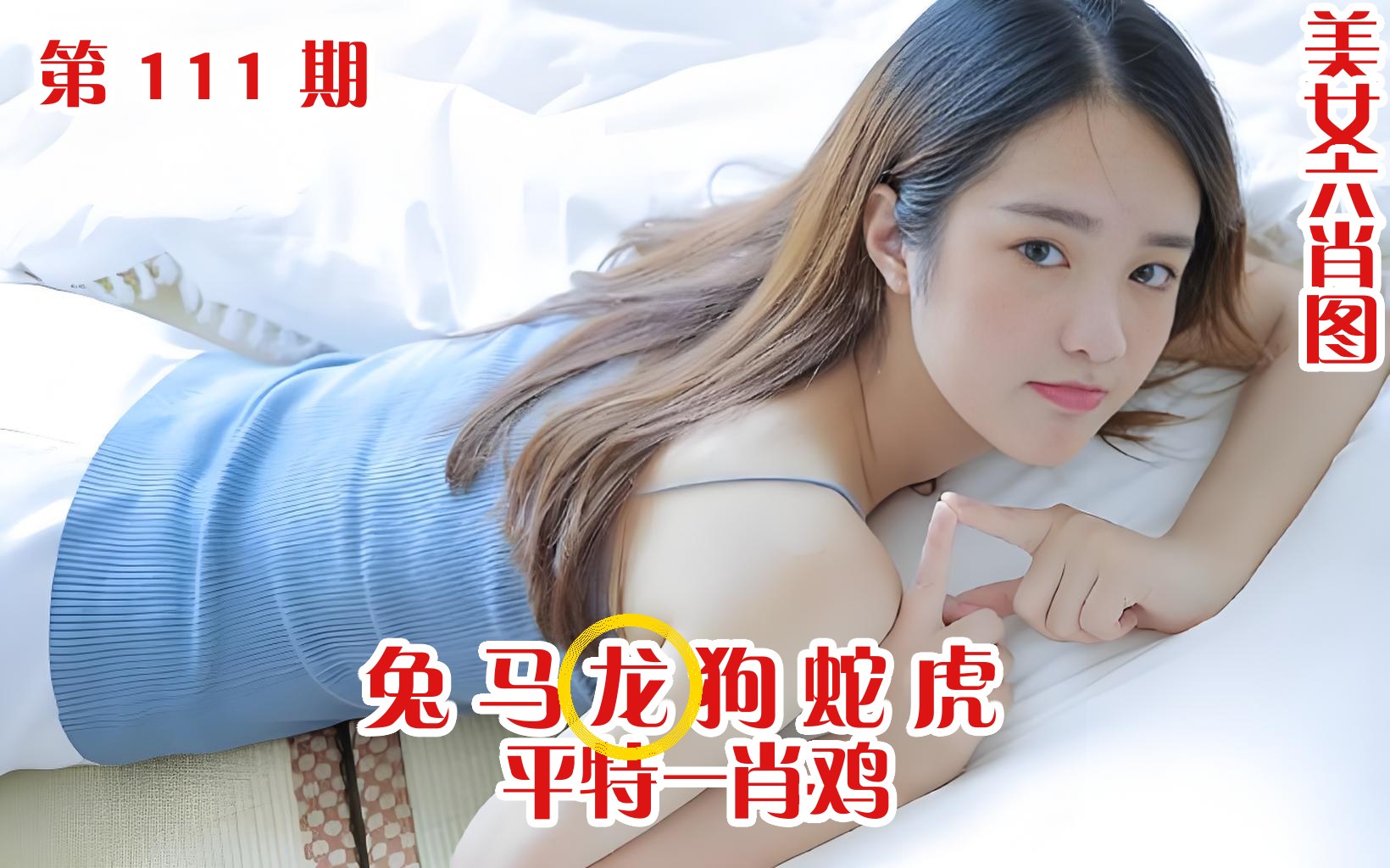 美女六肖 111期