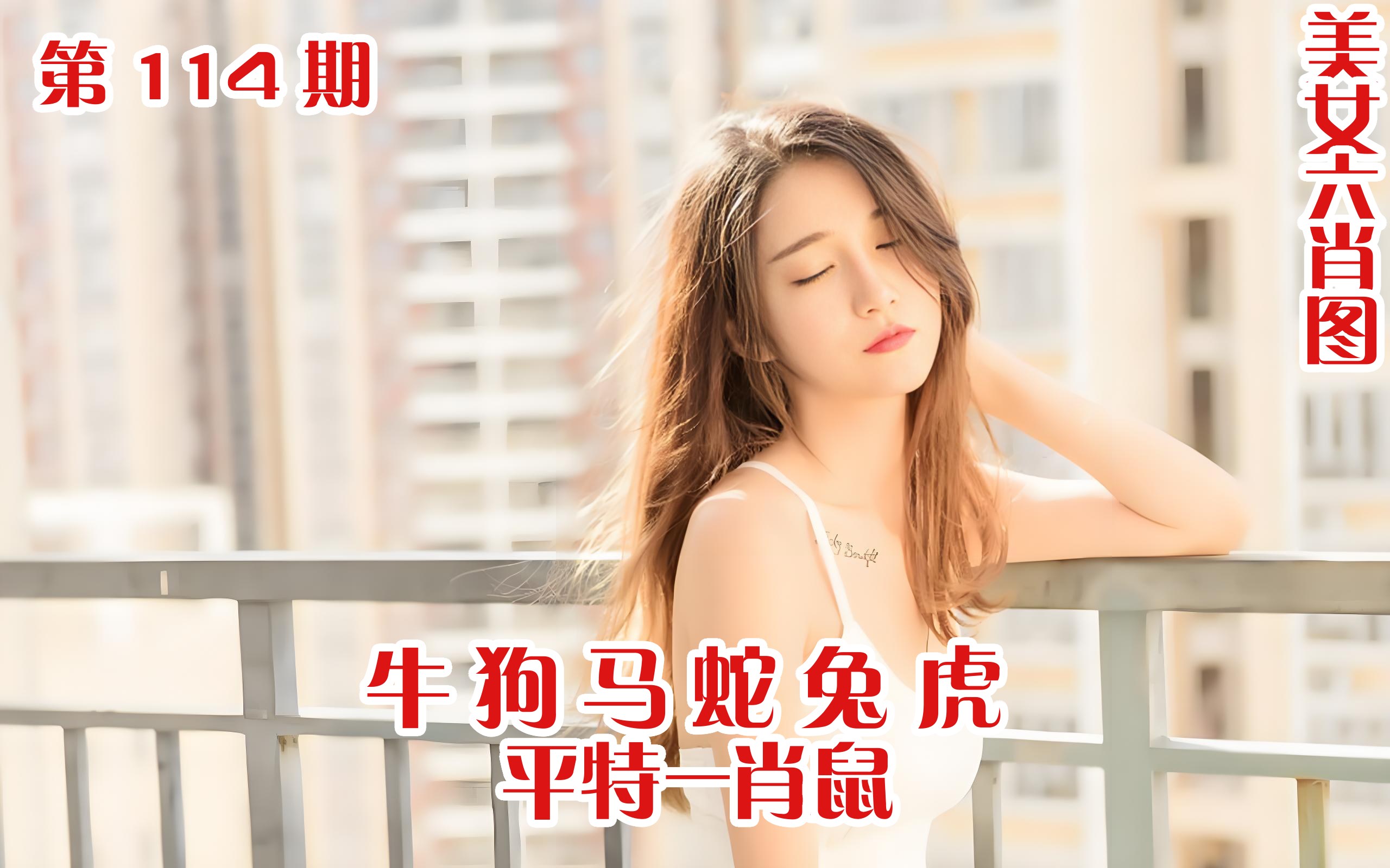美女六肖 114期