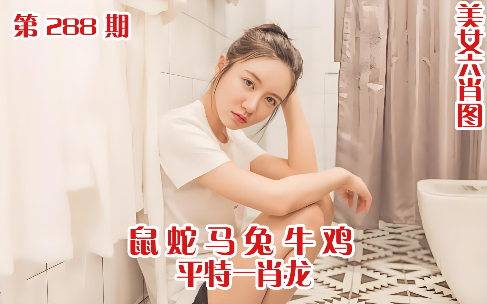 美女六肖 288期