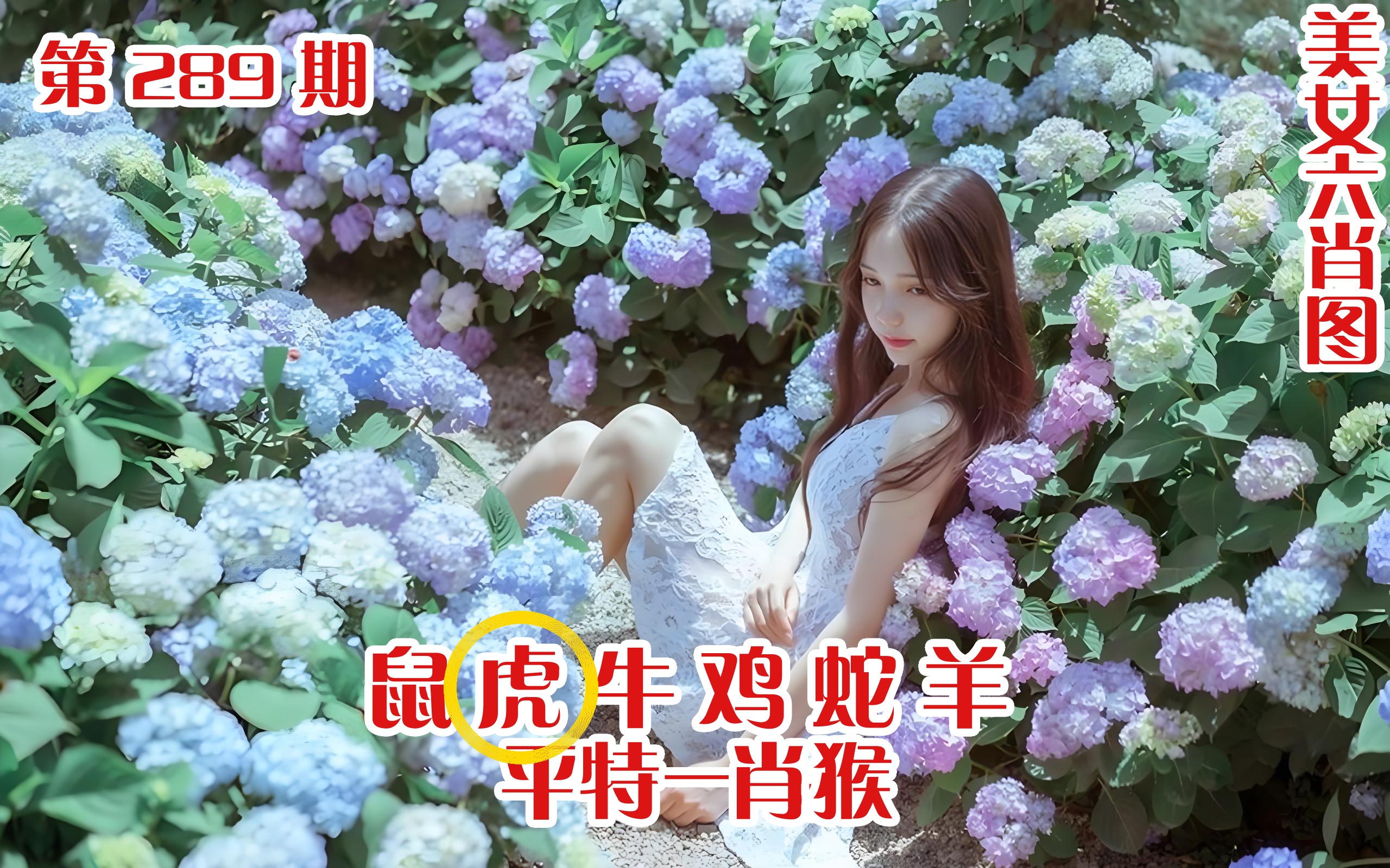 美女六肖 289期