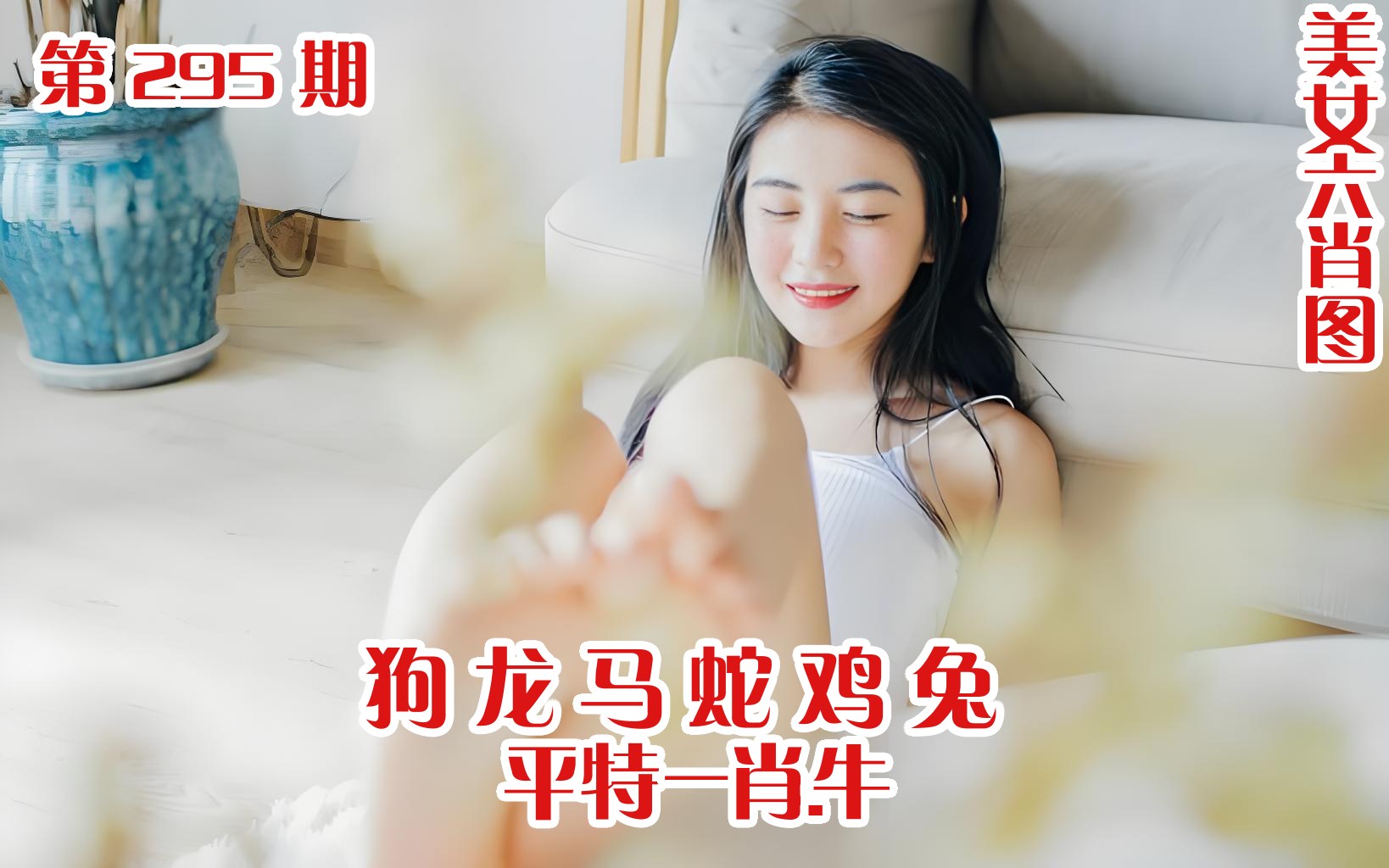 美女六肖 295期