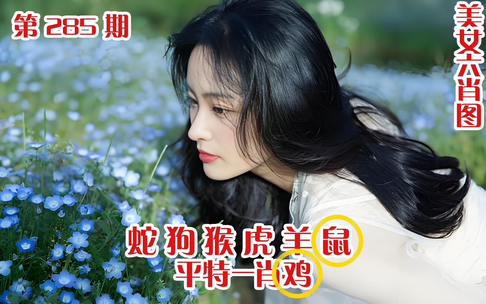 美女六肖 285期