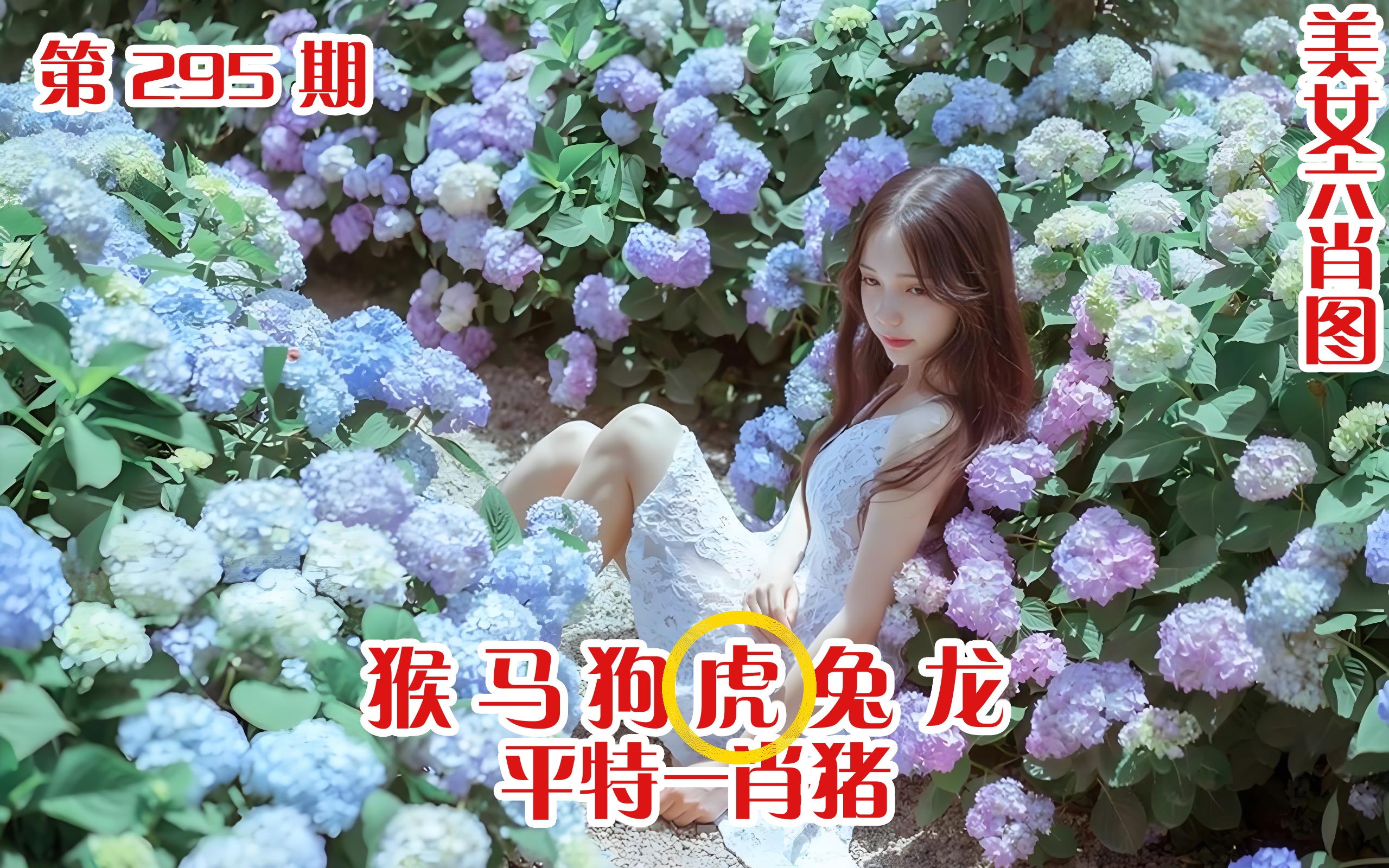 美女六肖 295期