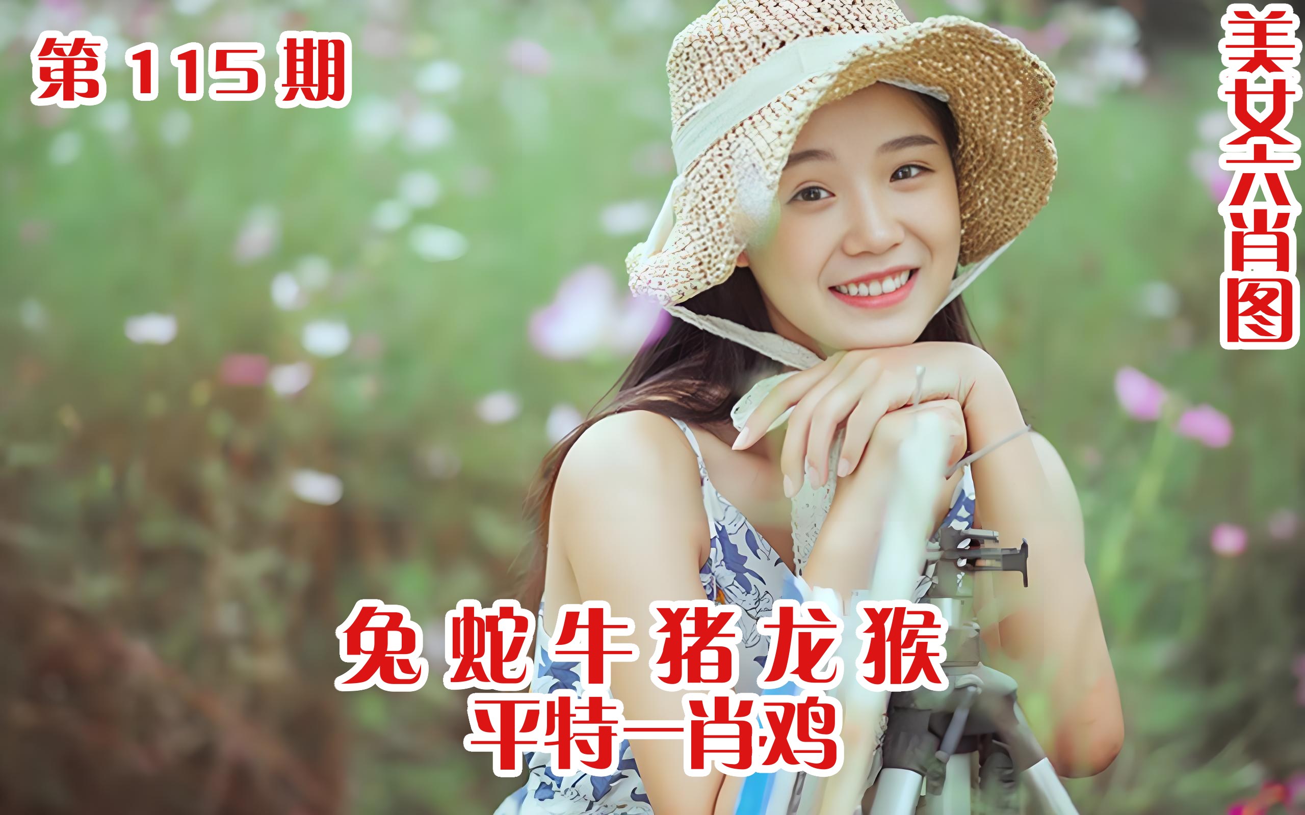 美女六肖 115期